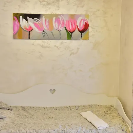 Apartment Timotei *